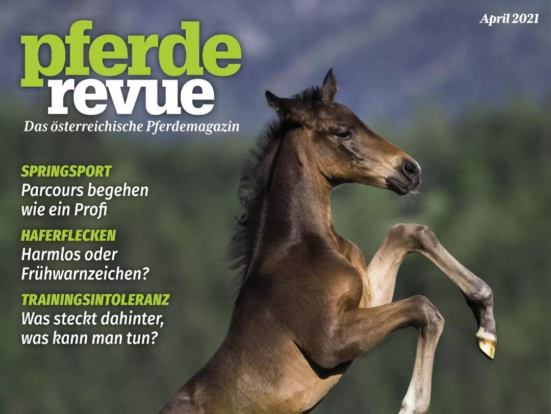 Thema Autoaufbereitung für Pferde- und Tierbesitzer in der Pferderevue, Ausgabe 2021- April.